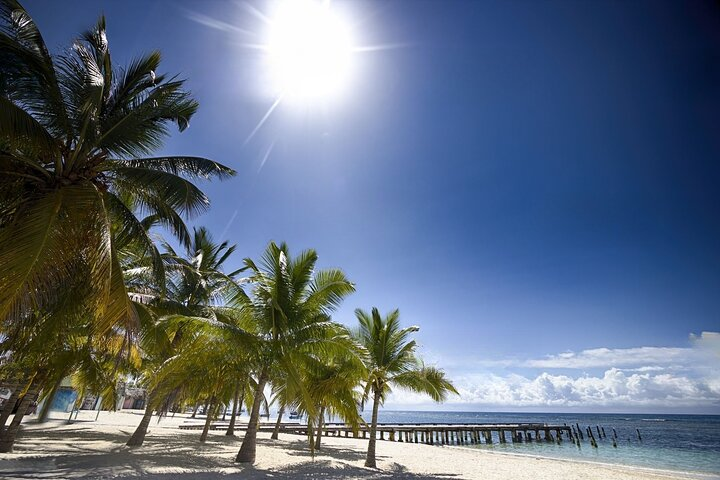 Punta Cana: Saona Island Catamaran Open Bar / Food Hotel Pickup - Photo 1 of 20